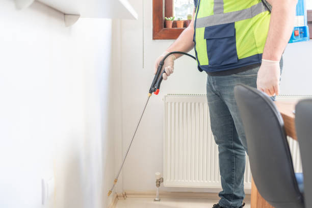Best Wasp Removal Services  in Palm Beach Gardens, FL
