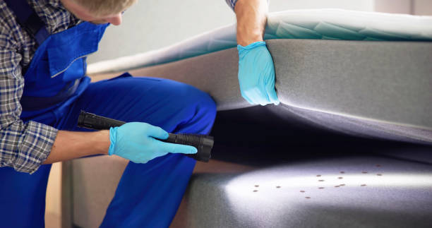 Best Mosquito Control Services  in Palm Beach Gardens, FL