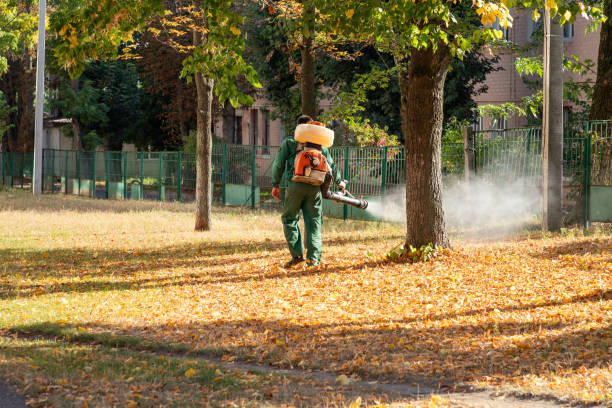 Best Emergency Pest Control  in Palm Beach Gardens, FL